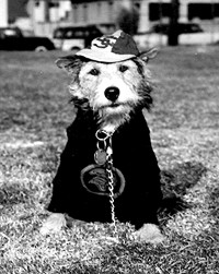 George Tirebiter the first